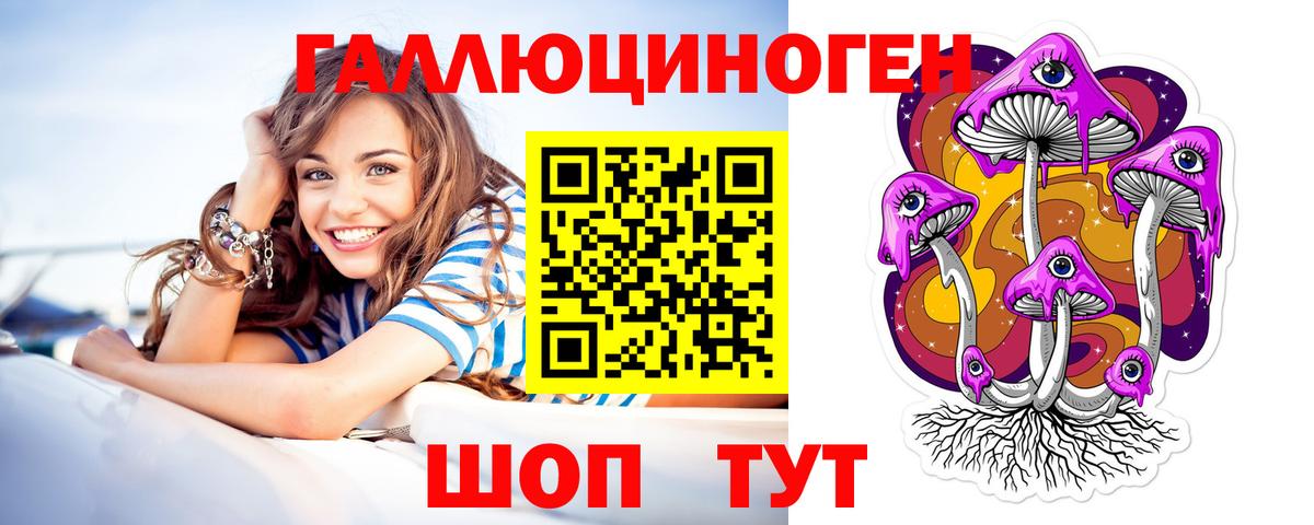 Галлюциногенные грибы Psilocybe Новокубанск