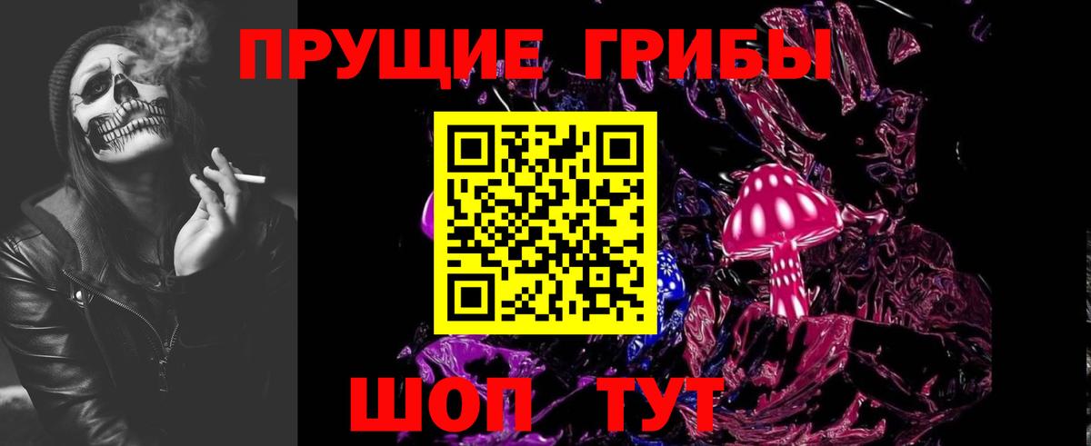 Галлюциногенные грибы Magic Shrooms  Псилоцибиновые грибы Cubensis  Новокубанск  Вход с VPN 